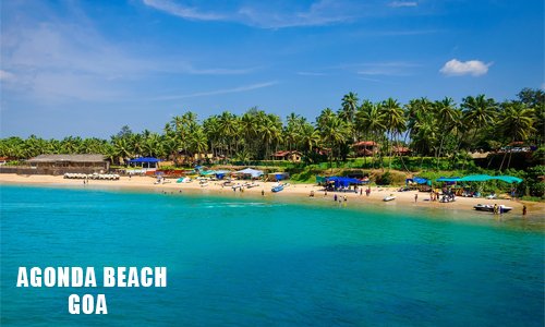 A serene beach with tall palm trees and crystal-clear blue water.